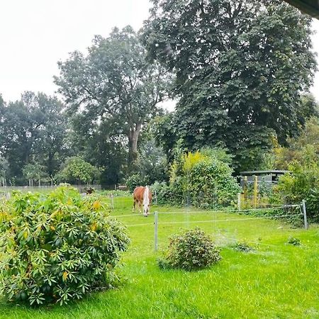 Urlaub In Unserem „Kleinen Haus“ Nindorf  Esterno foto