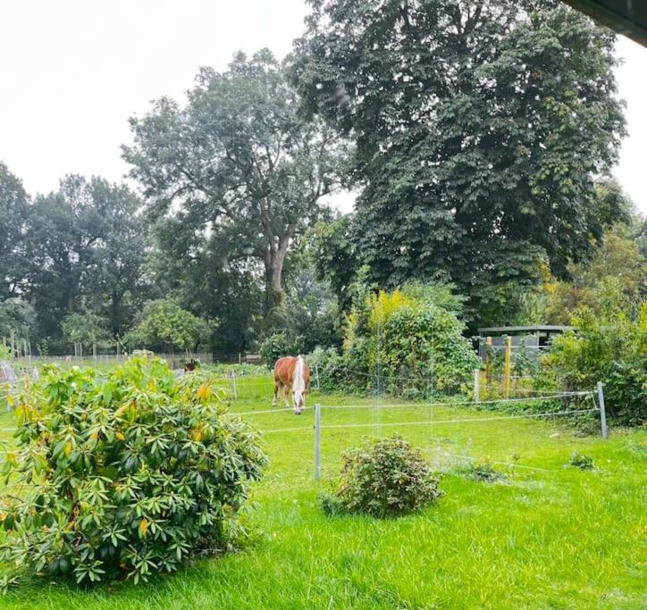 Urlaub In Unserem „Kleinen Haus“ Nindorf  Esterno foto